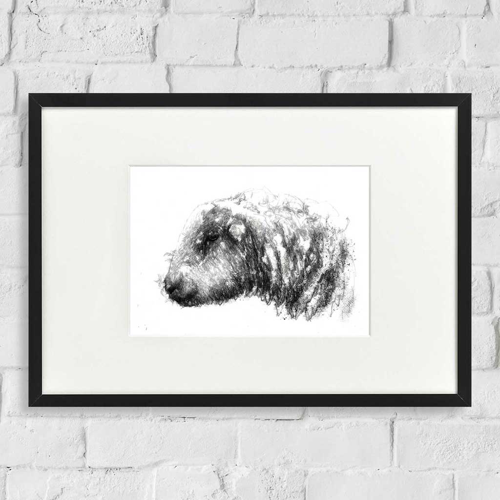 Hardwick sheep head