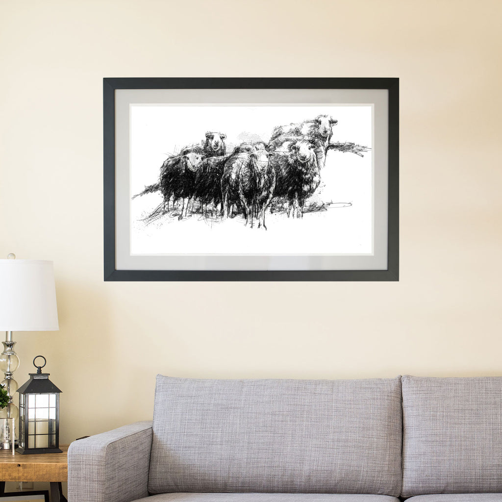 Herdwick sheep