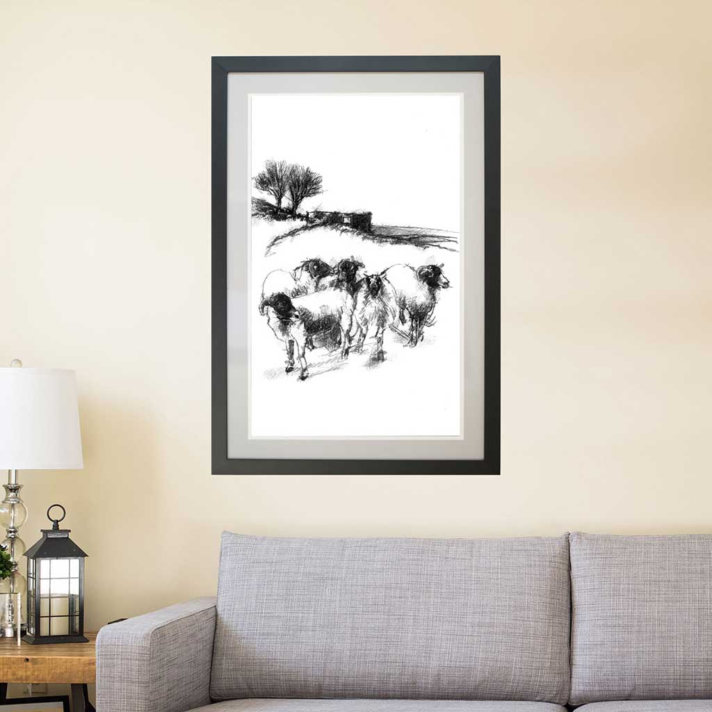 Top Withens Sheep