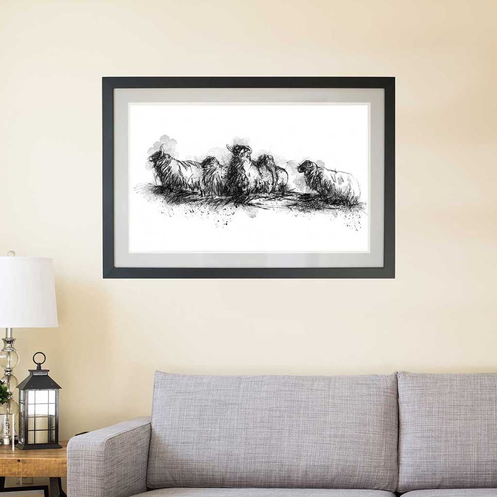 Sheep herd