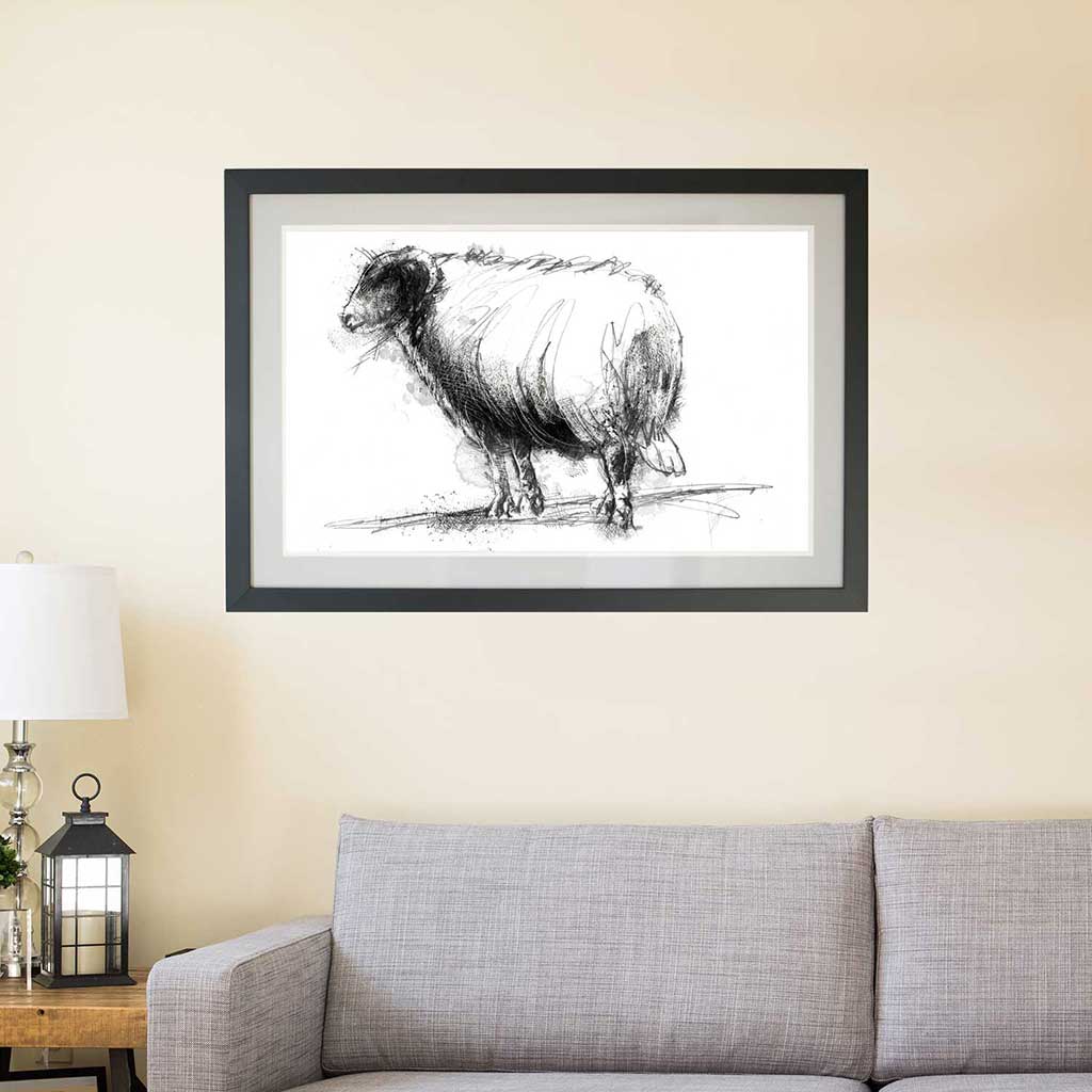 sheep
