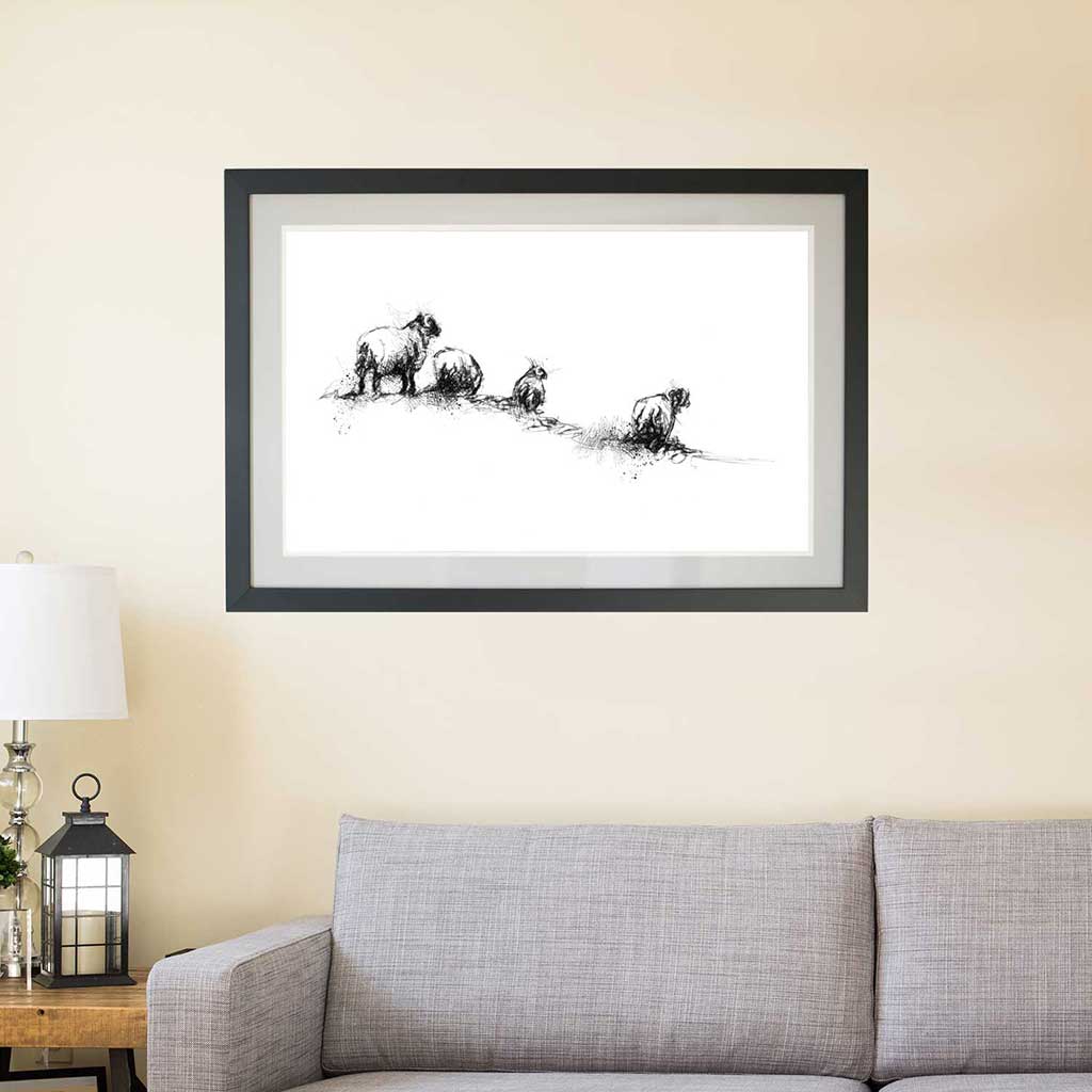 Sheep line
