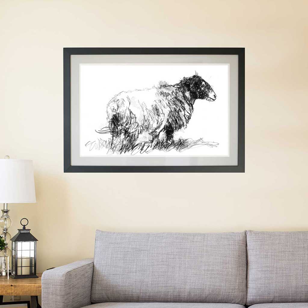 Moorland ewe