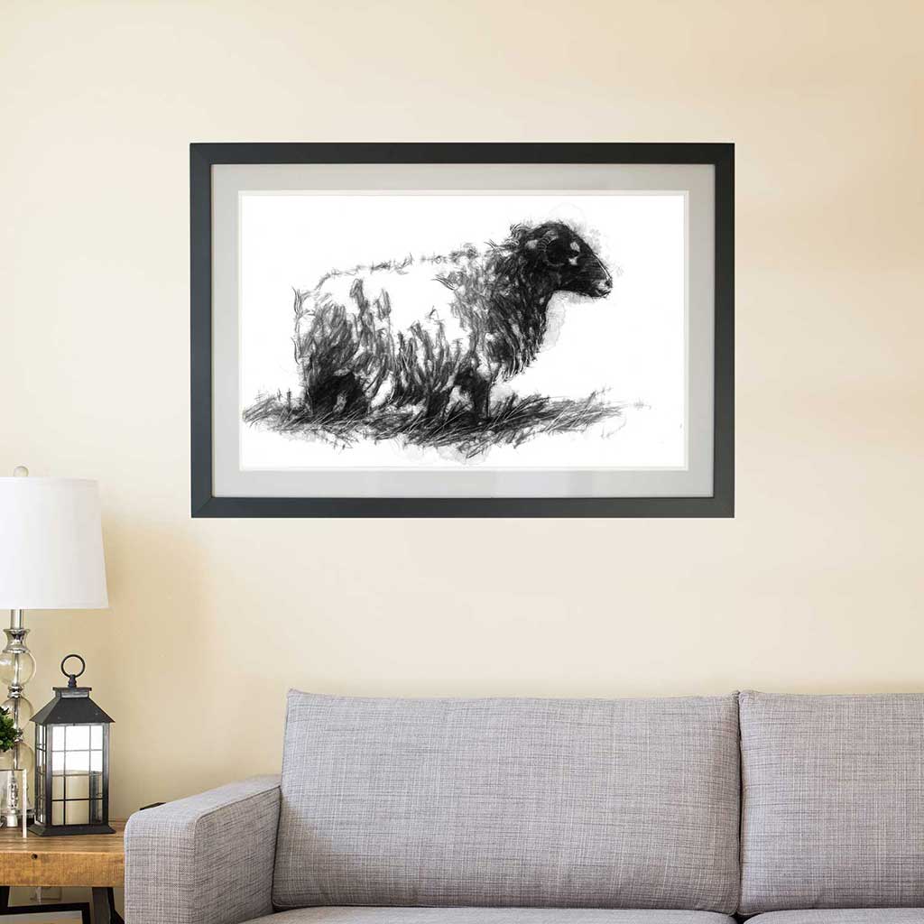 Lone sheep