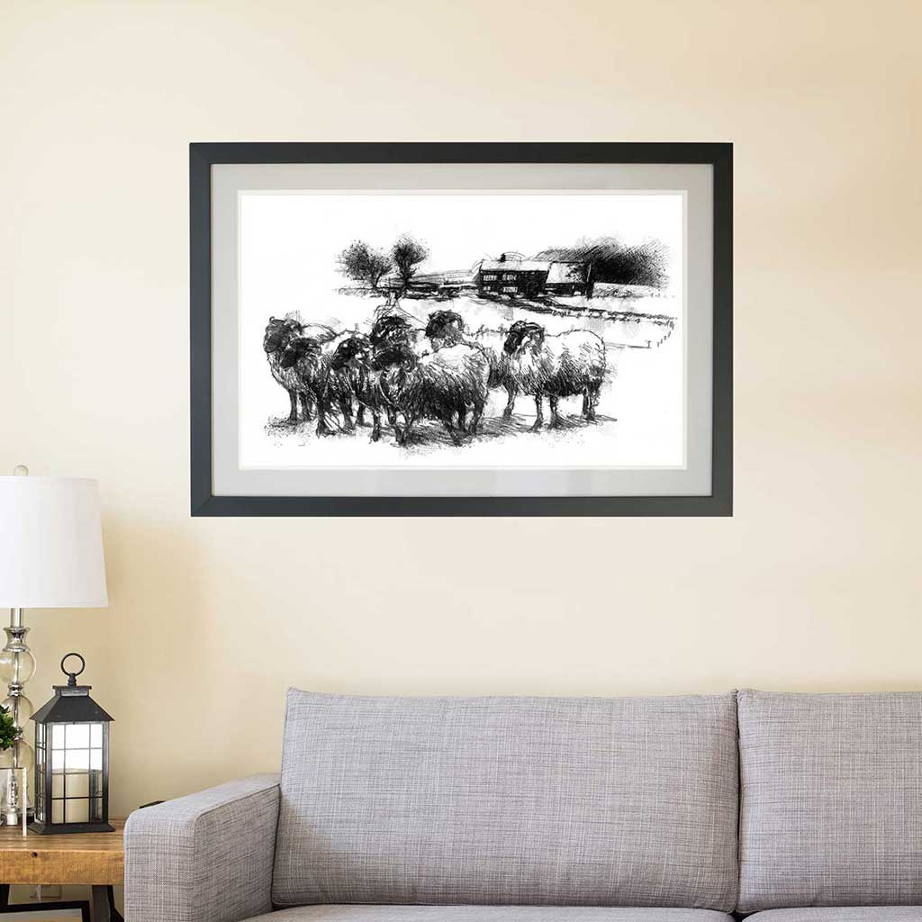 sheep farm