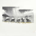 Sheep feeding