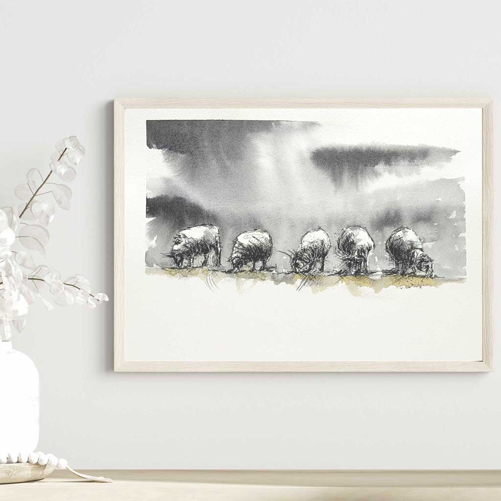 Sheep feeding