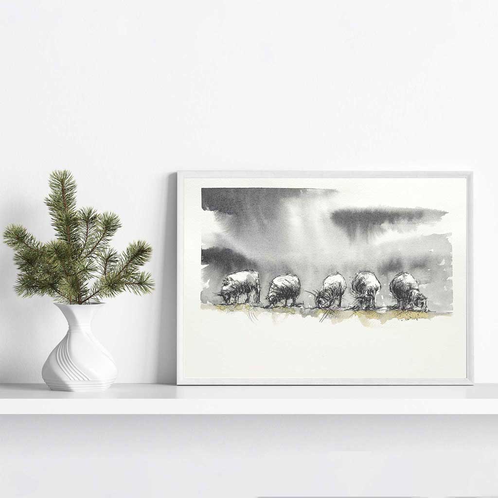 Sheep feeding