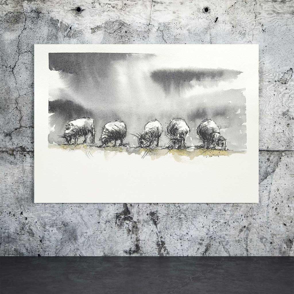 Sheep feeding