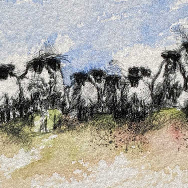 Sheep flock mini sketch