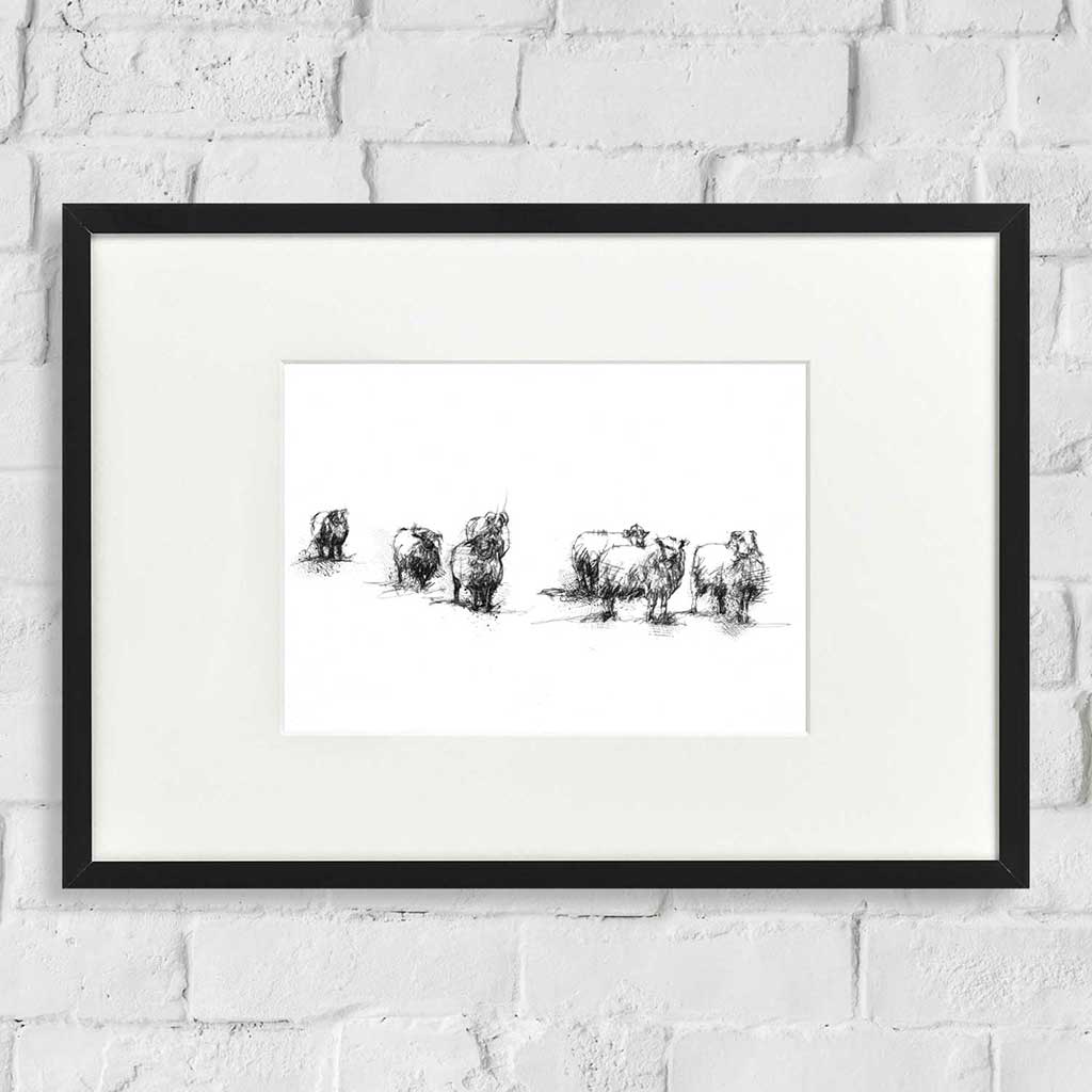 Sheep flock