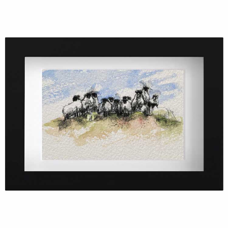 Sheep flock mini sketch