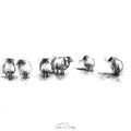 Sheep flock