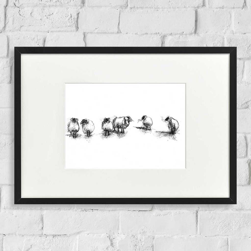 Sheep flock