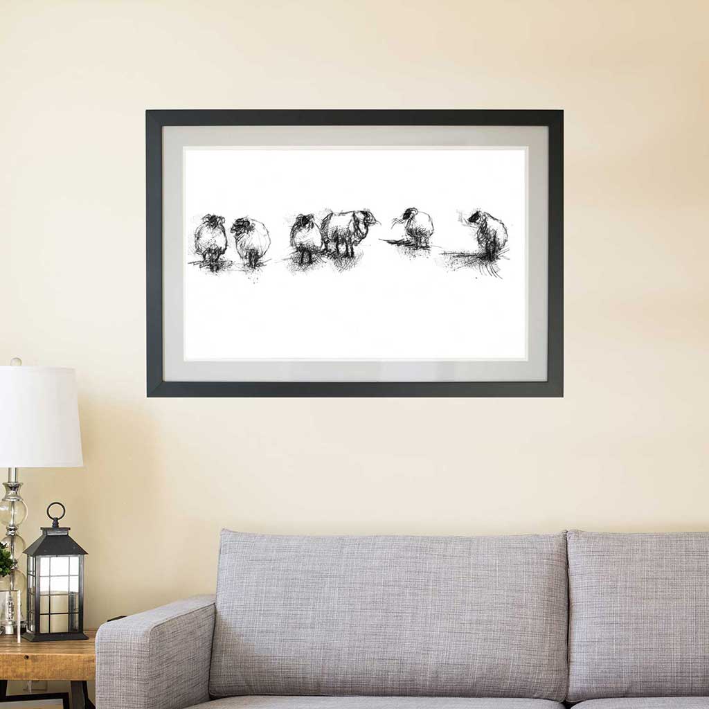Sheep flock
