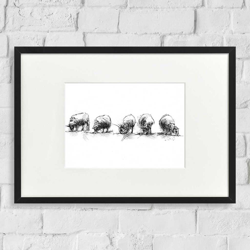 Sheep flock