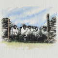 Sheep gate mini sketch