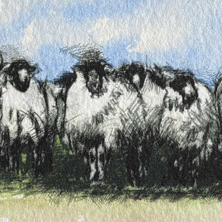 Sheep gate mini sketch