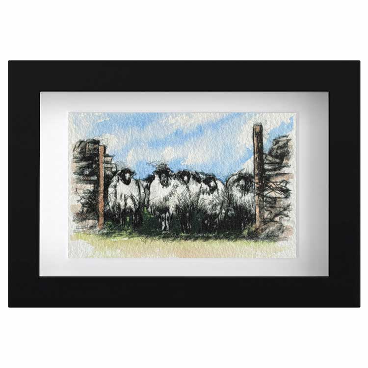 Sheep gate mini sketch
