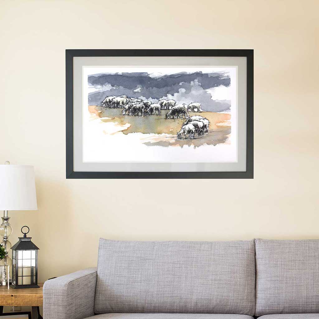 Sheep grazing
