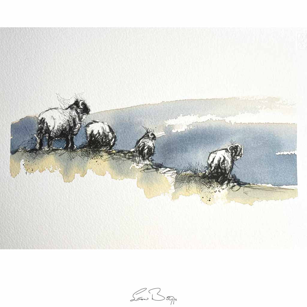 Moorland sheep original sketch