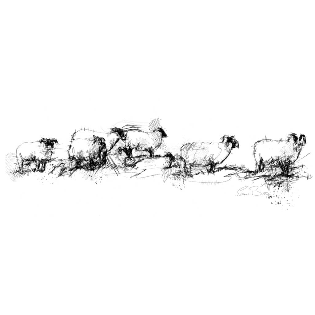 Sheep line Wide_format