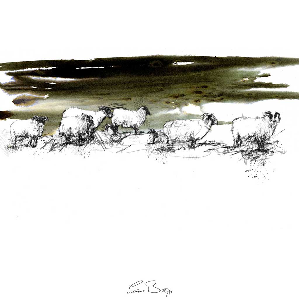 Sheep twilight