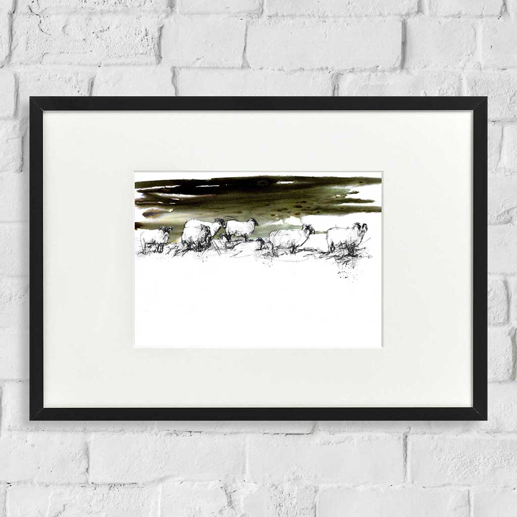 Sheep twilight