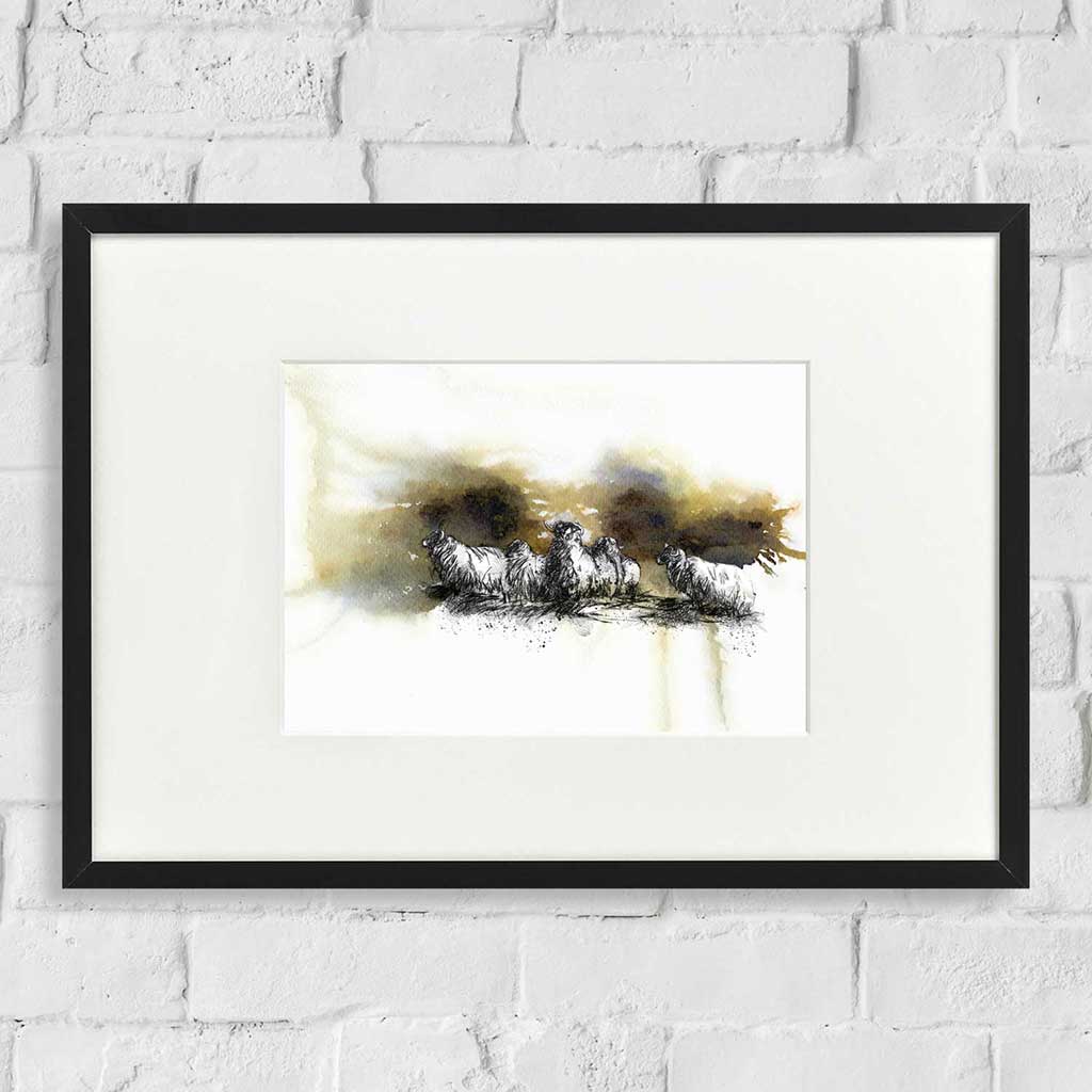 Moorland sheep