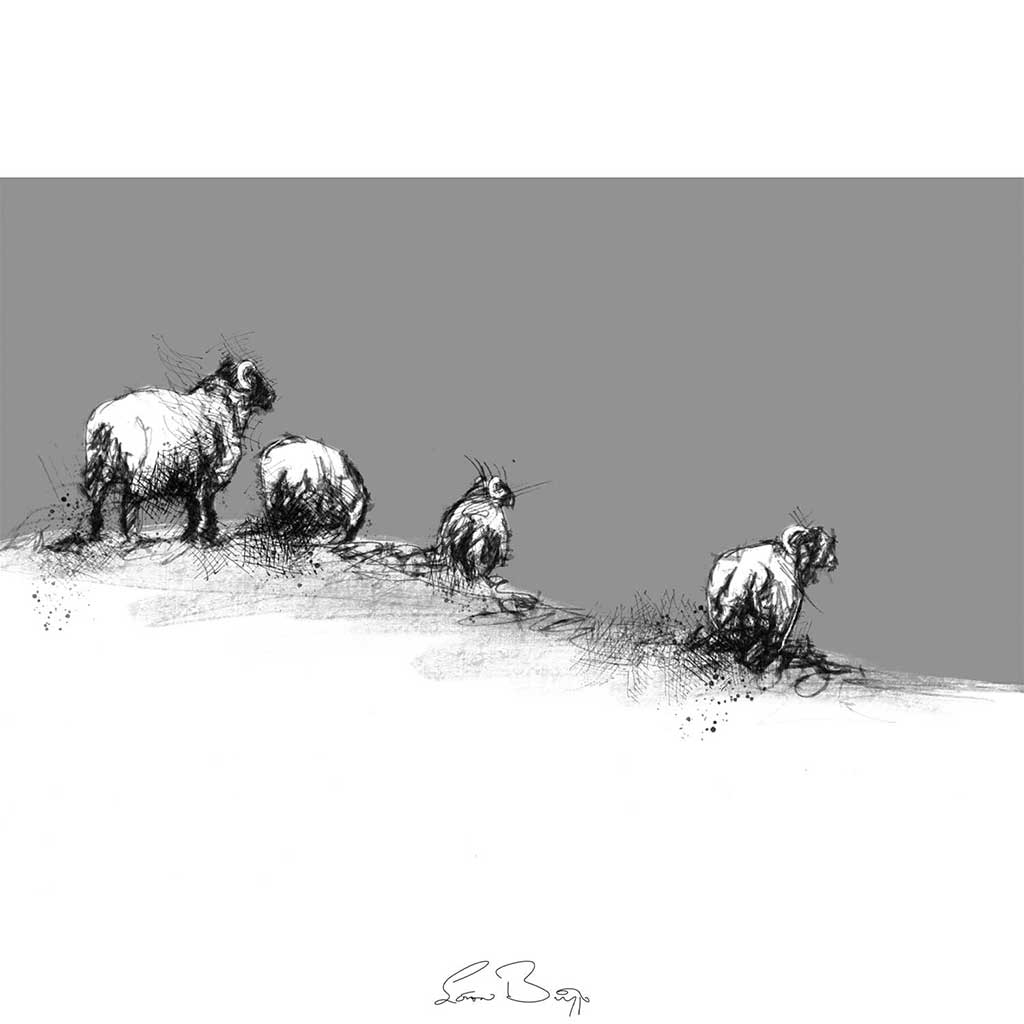 Snow sheep