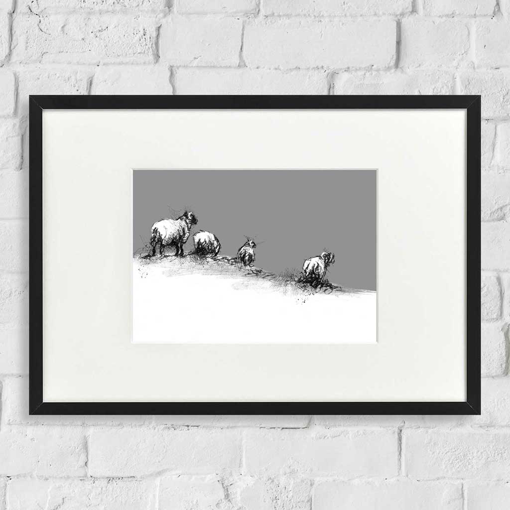 Snow sheep