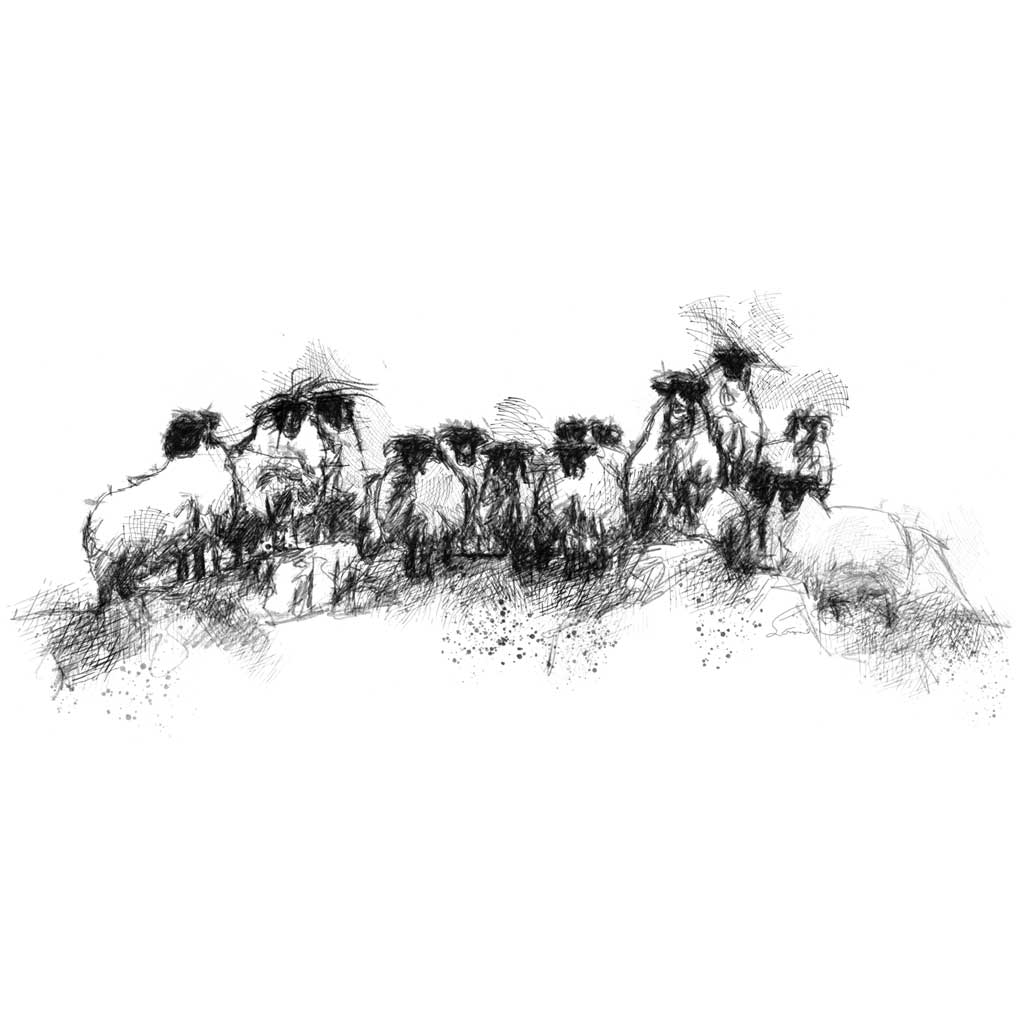 Sheep stack wide format