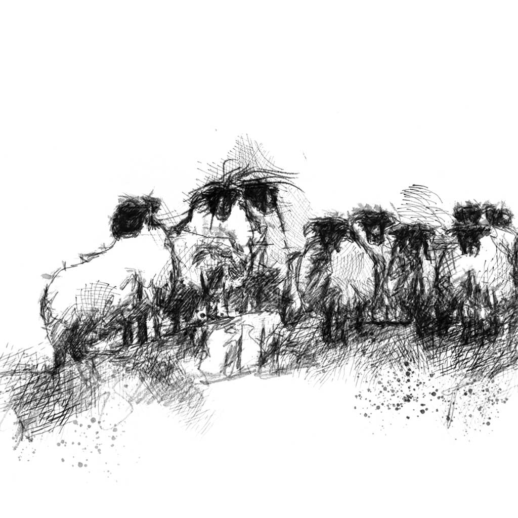 Sheep stack wide format