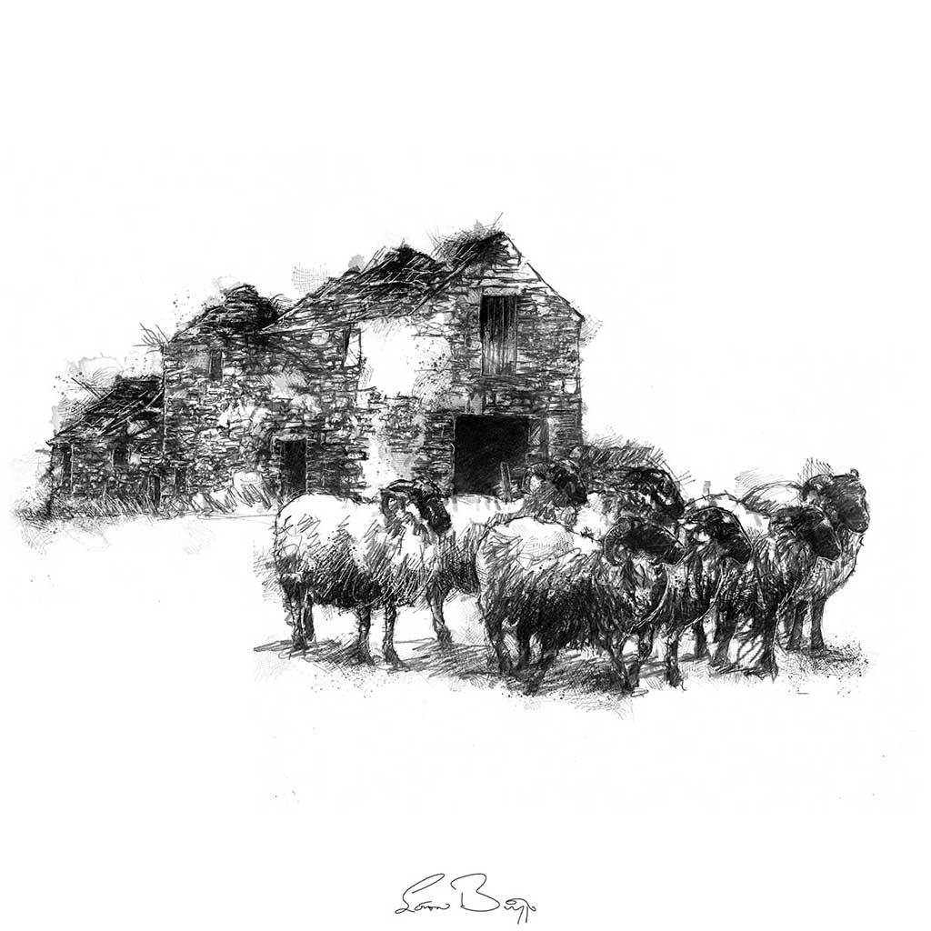 Sheep barn