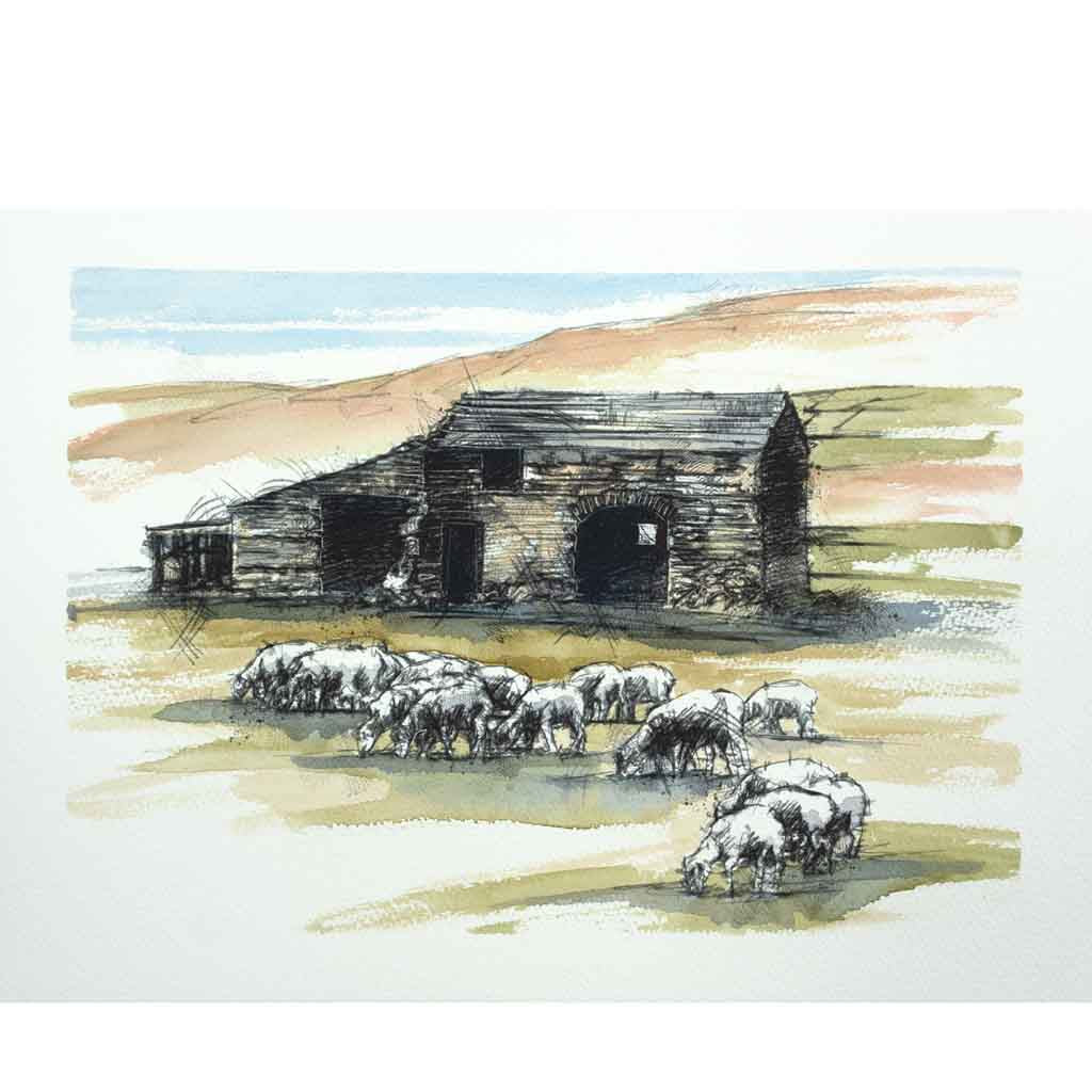 Sheep barn