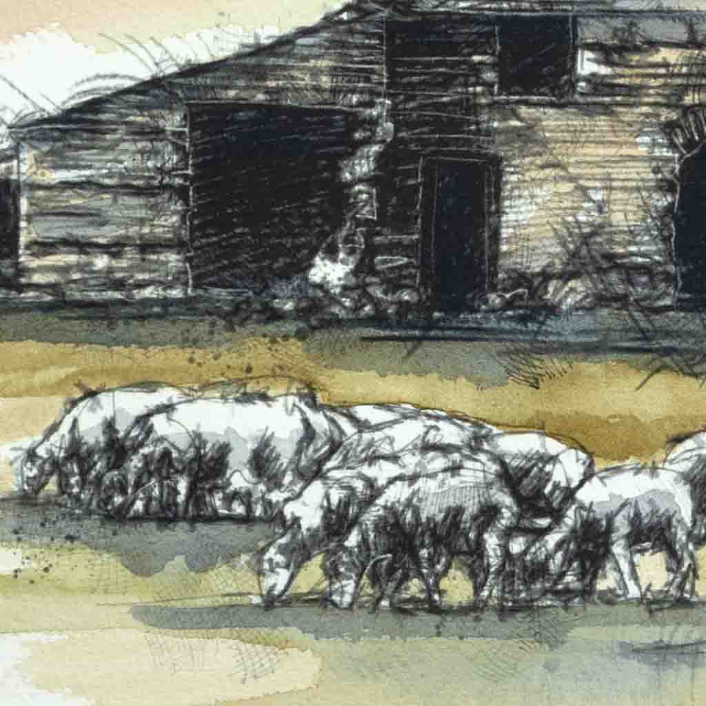 Sheep barn