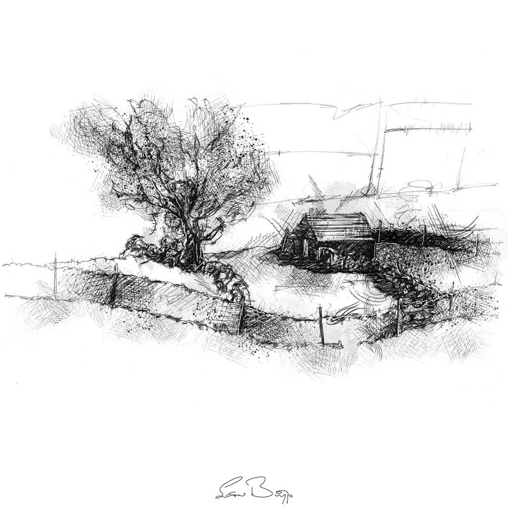 Sheep shed