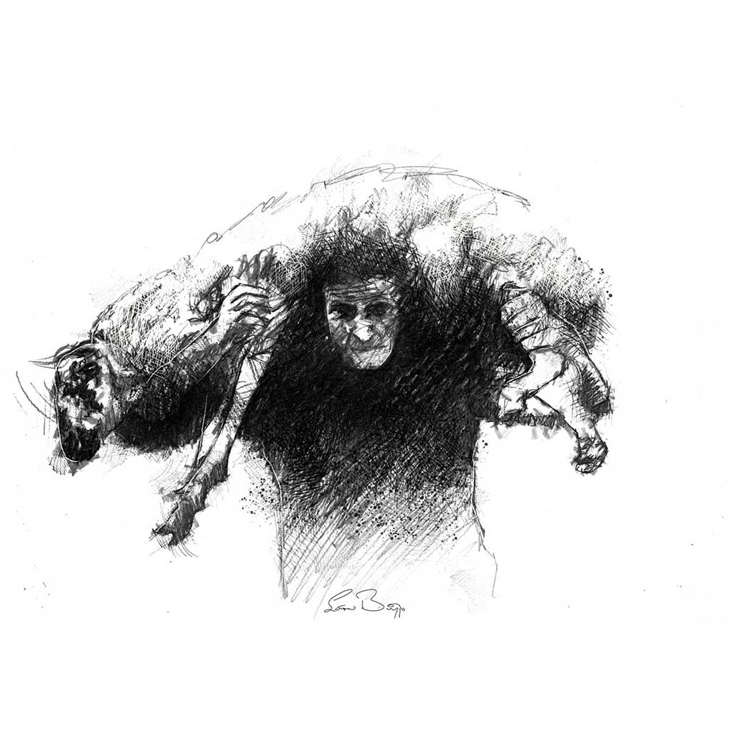 Shepherd