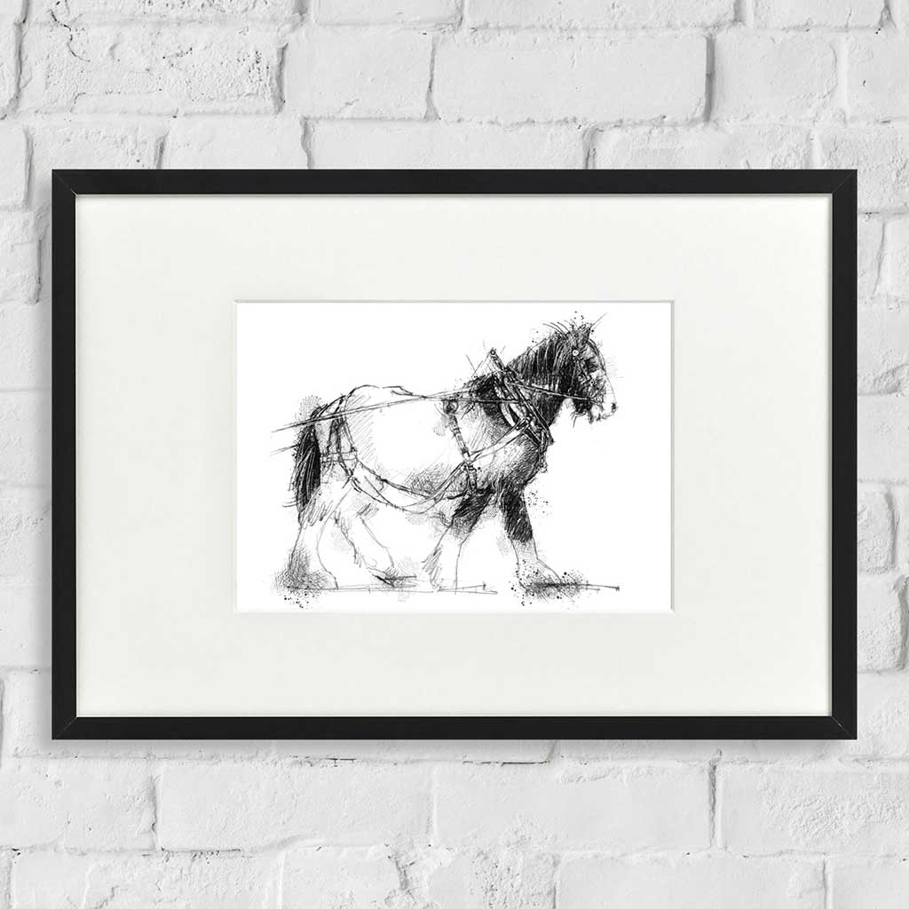 Shire horse