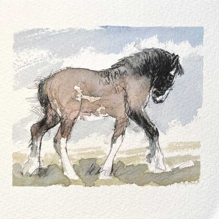 Shire foal original mini sketch