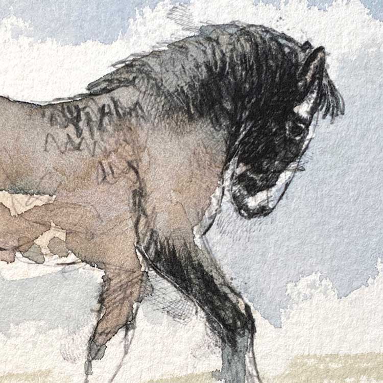 Shire foal original mini sketch