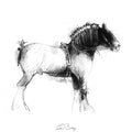 Shire horse