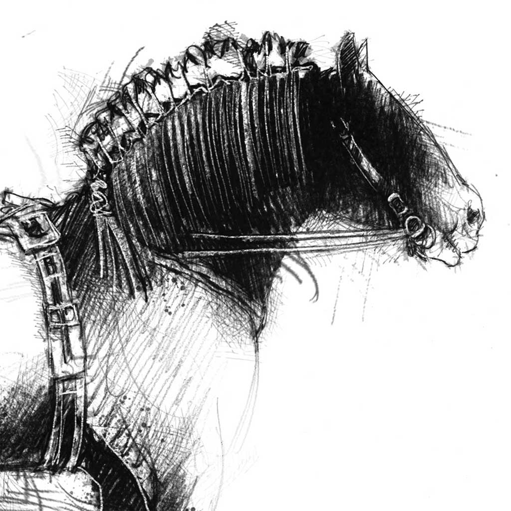 Shire horse
