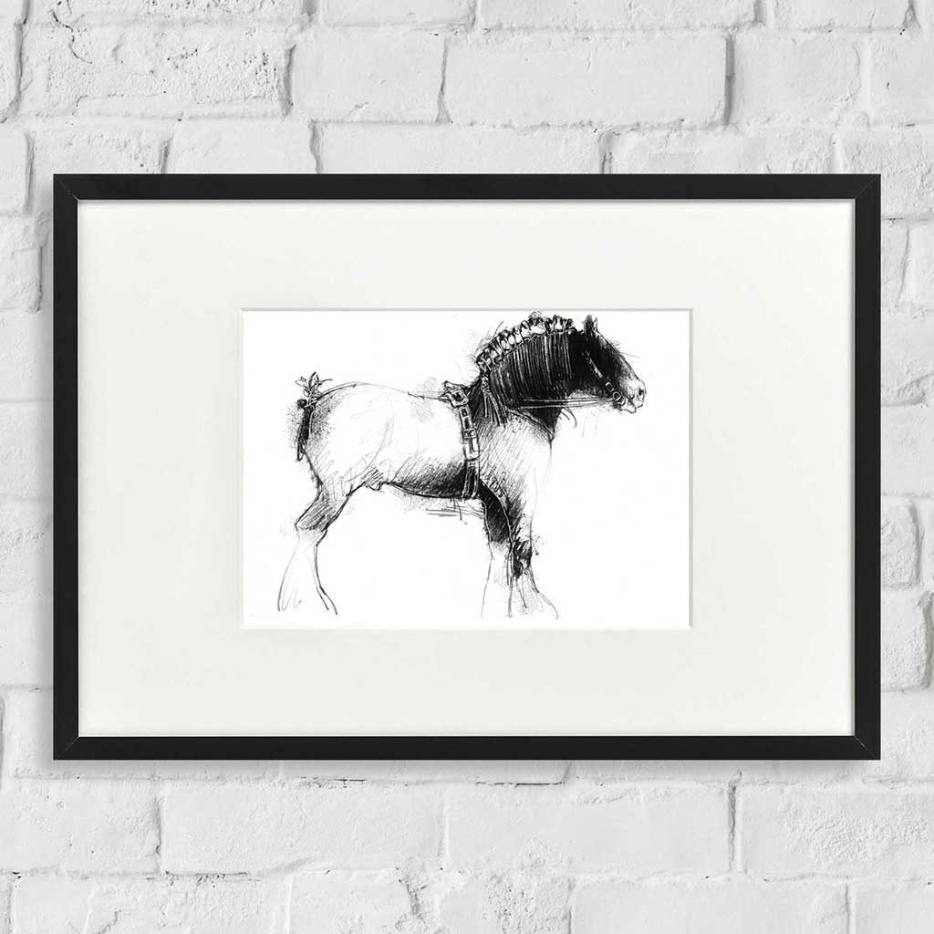 Shire horse