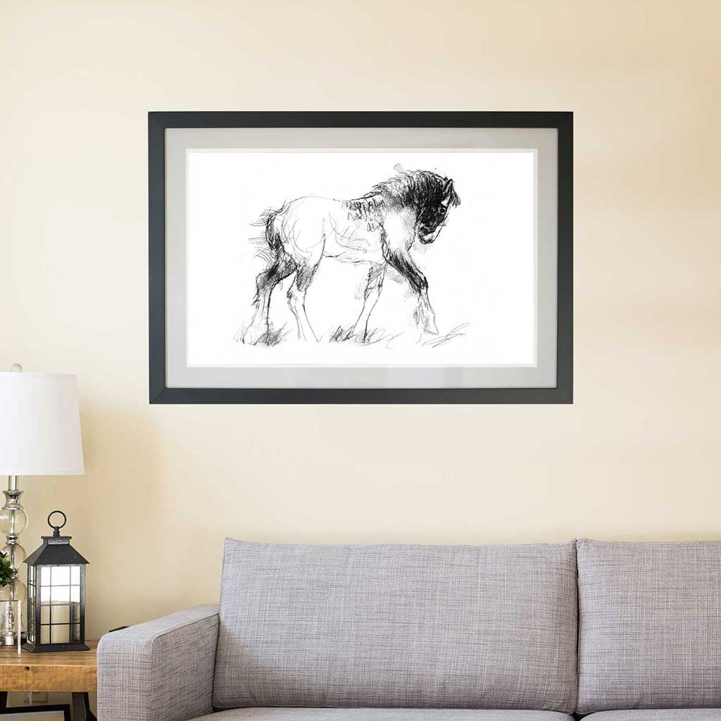 Shire foal