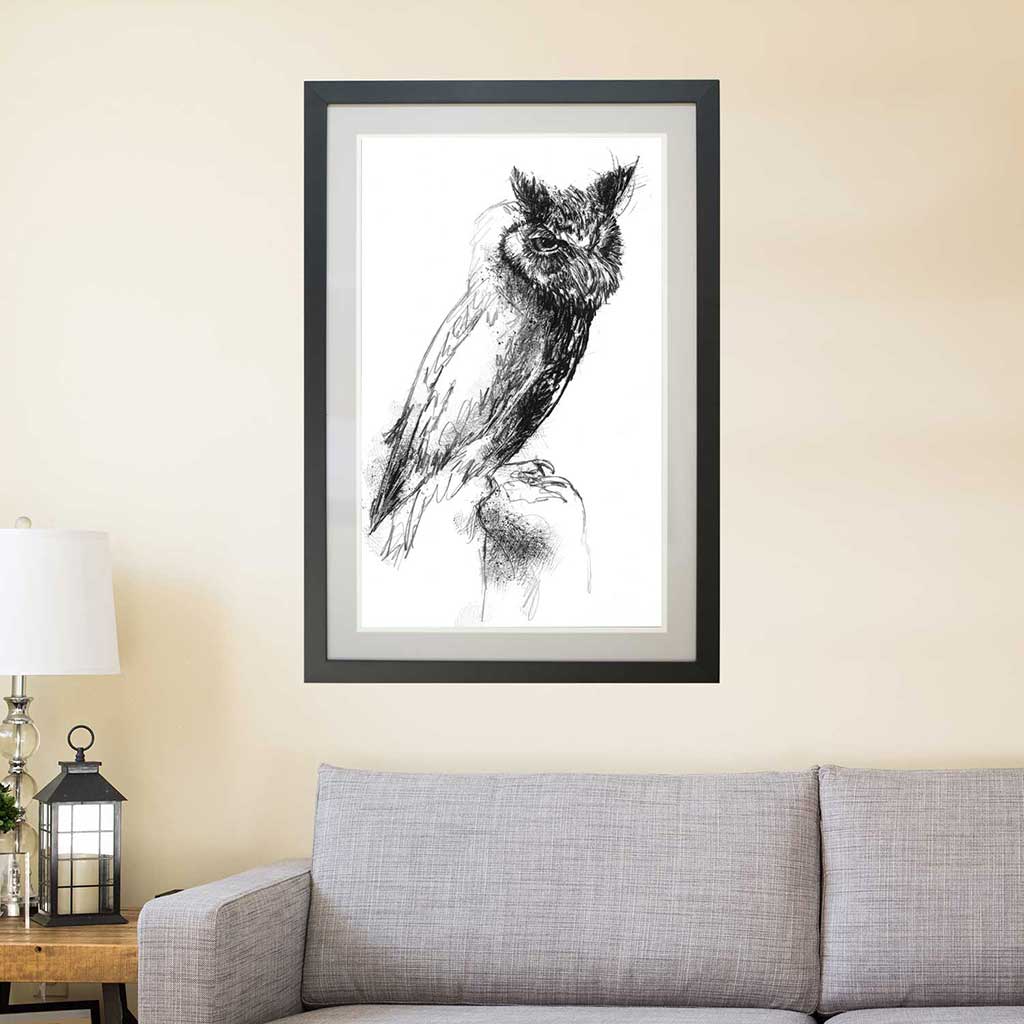 Scops owl