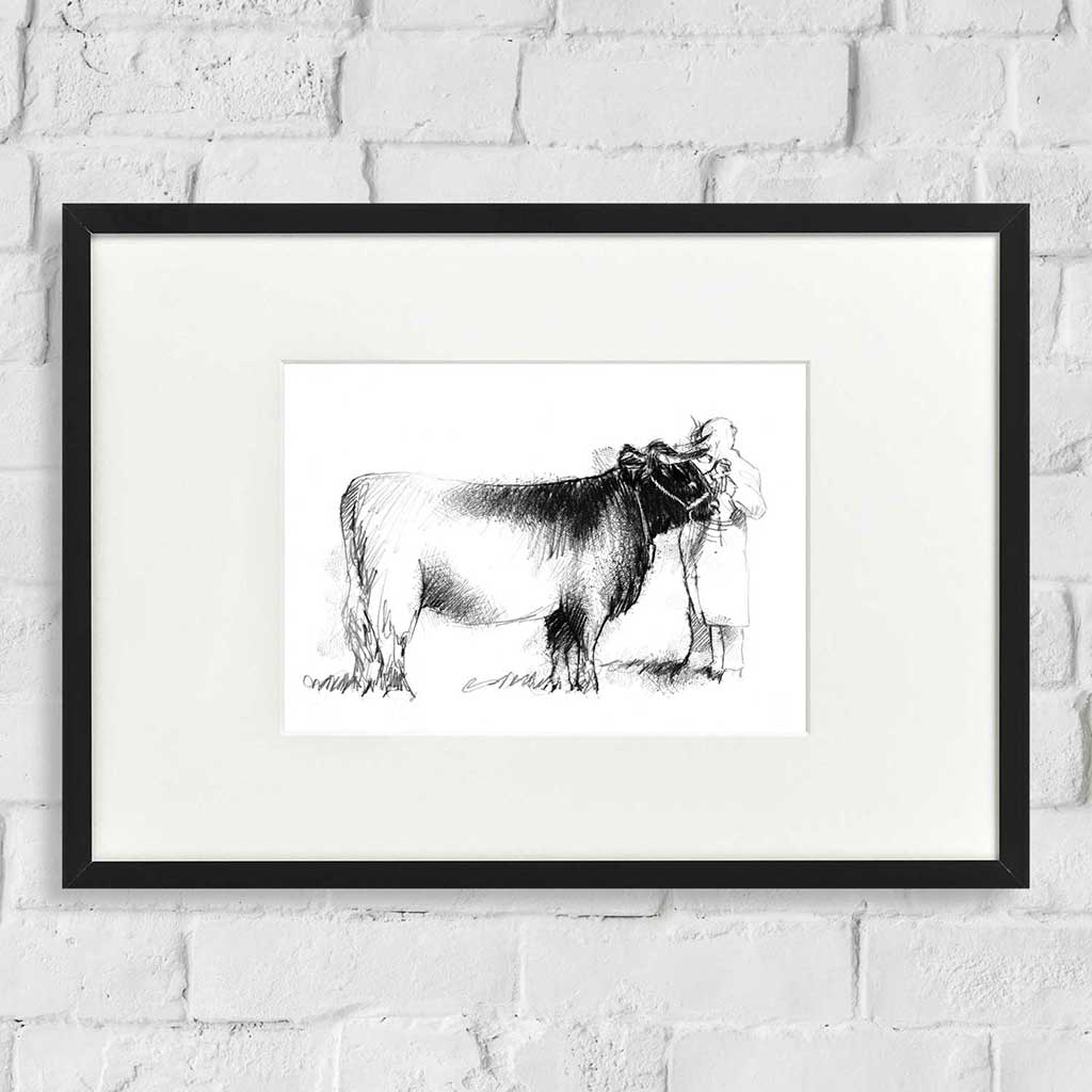 Prize bull