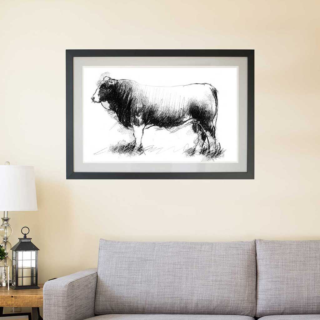 Simmental bull
