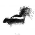 Skunk
