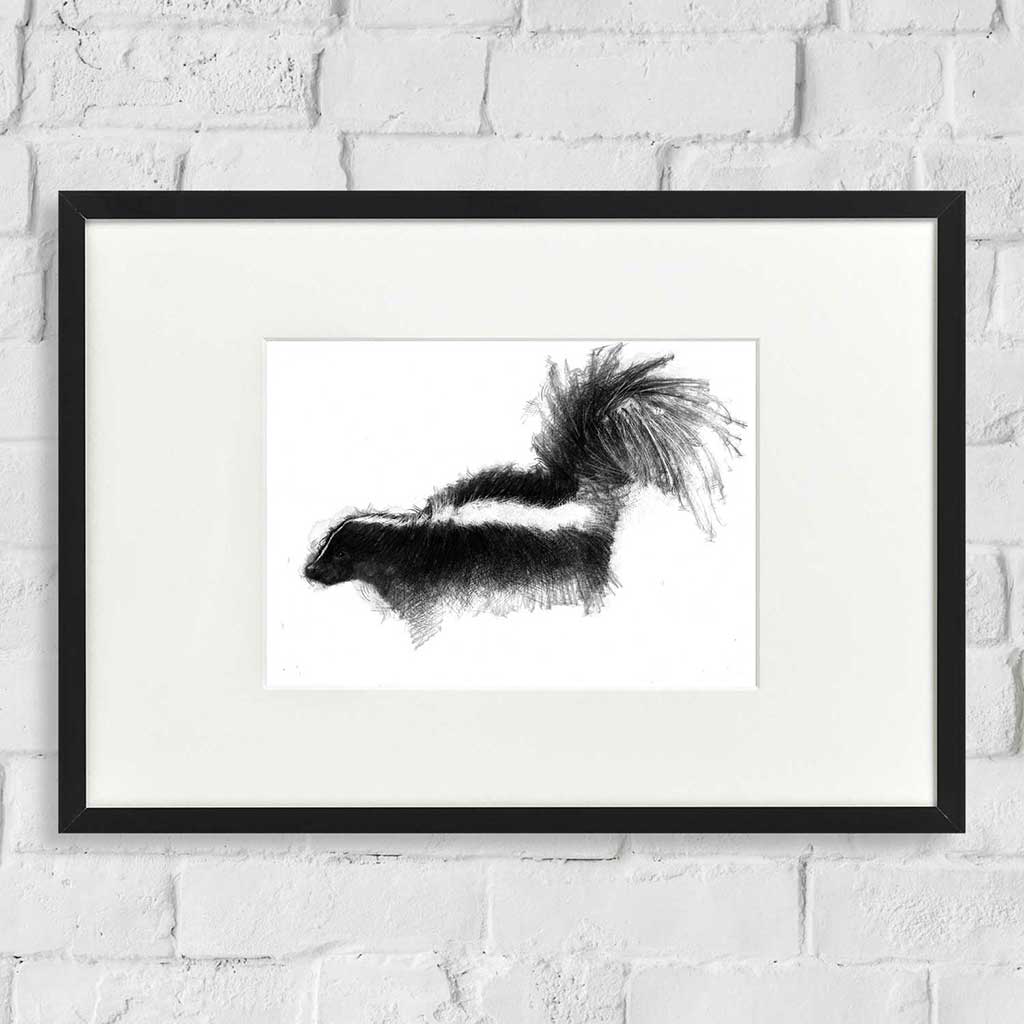 Skunk